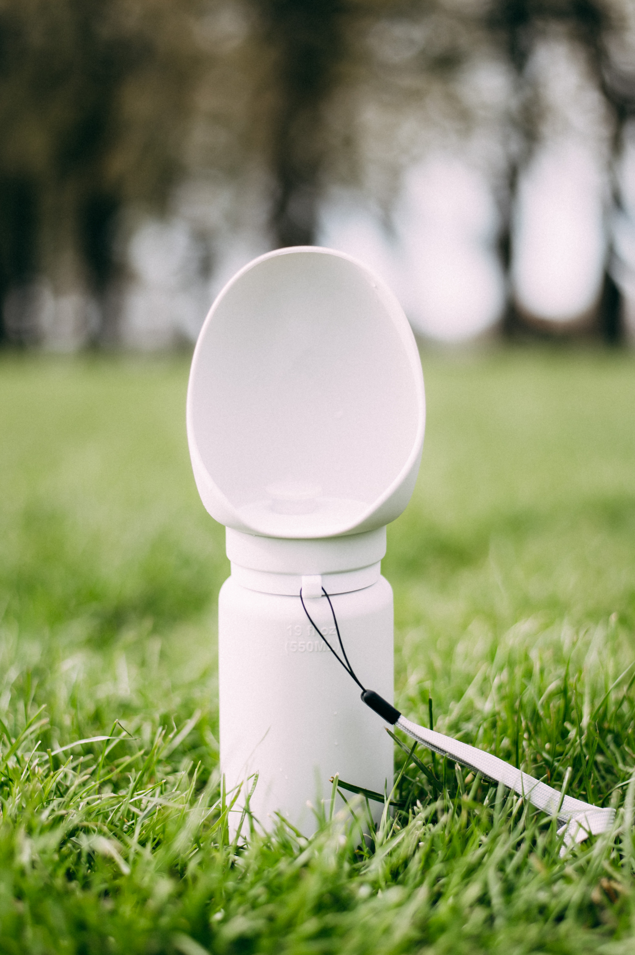 The Everyday Bottle