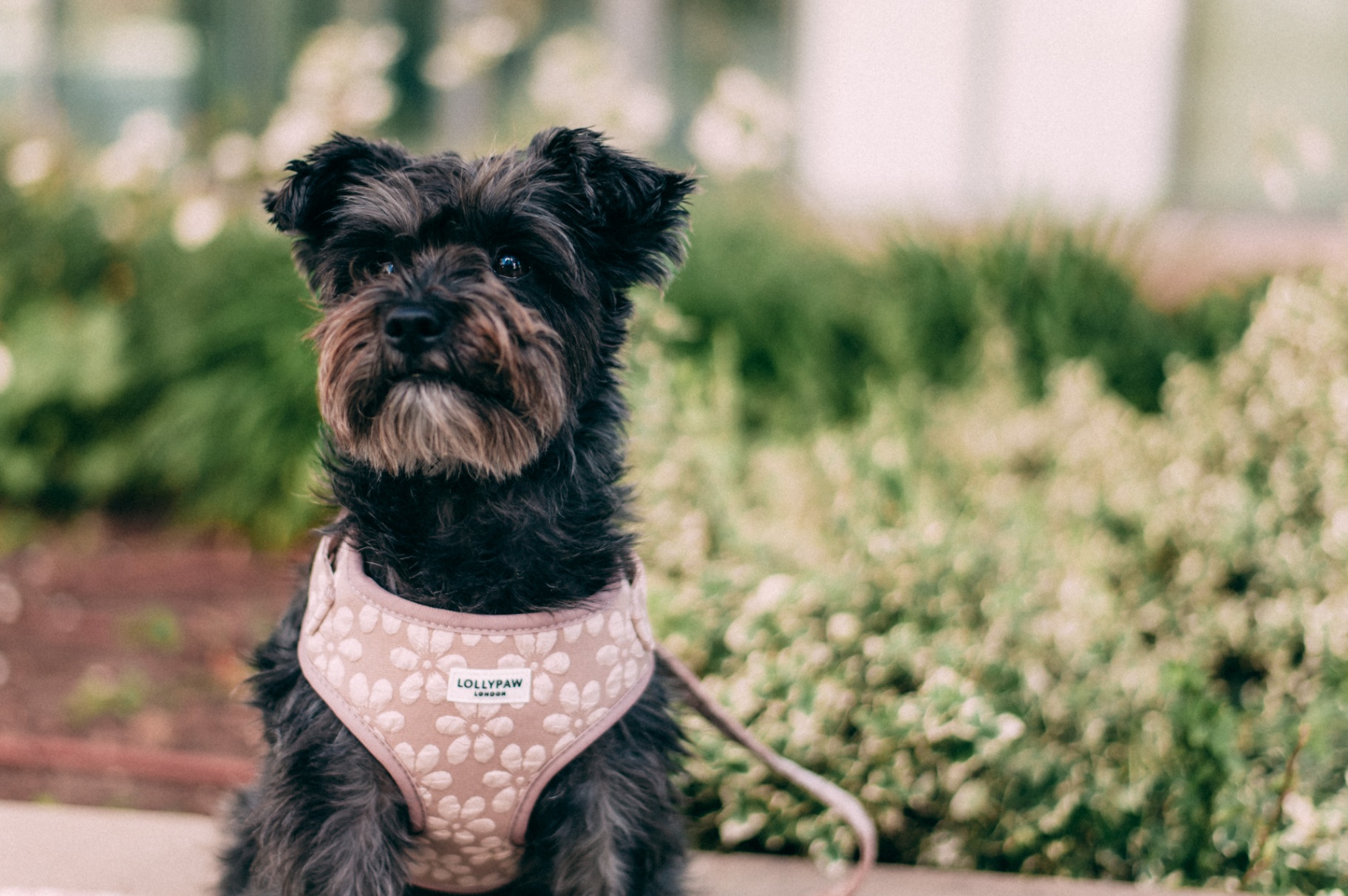 Poop Bag Holder — Oat