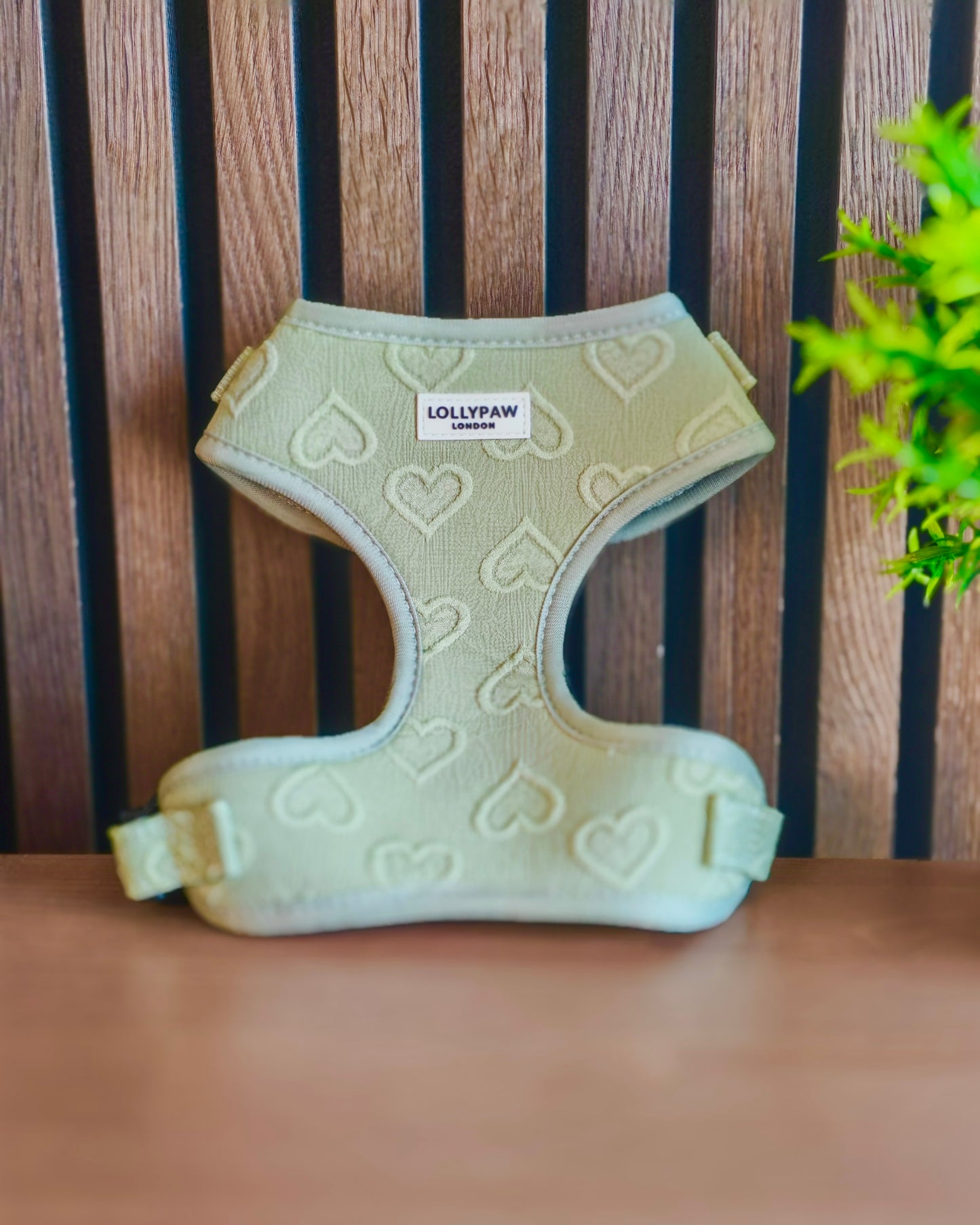 Dog Puppy Harness with Heart Pattern Soft & Allergy-Safe Optional Matching Leash For Small Dogs