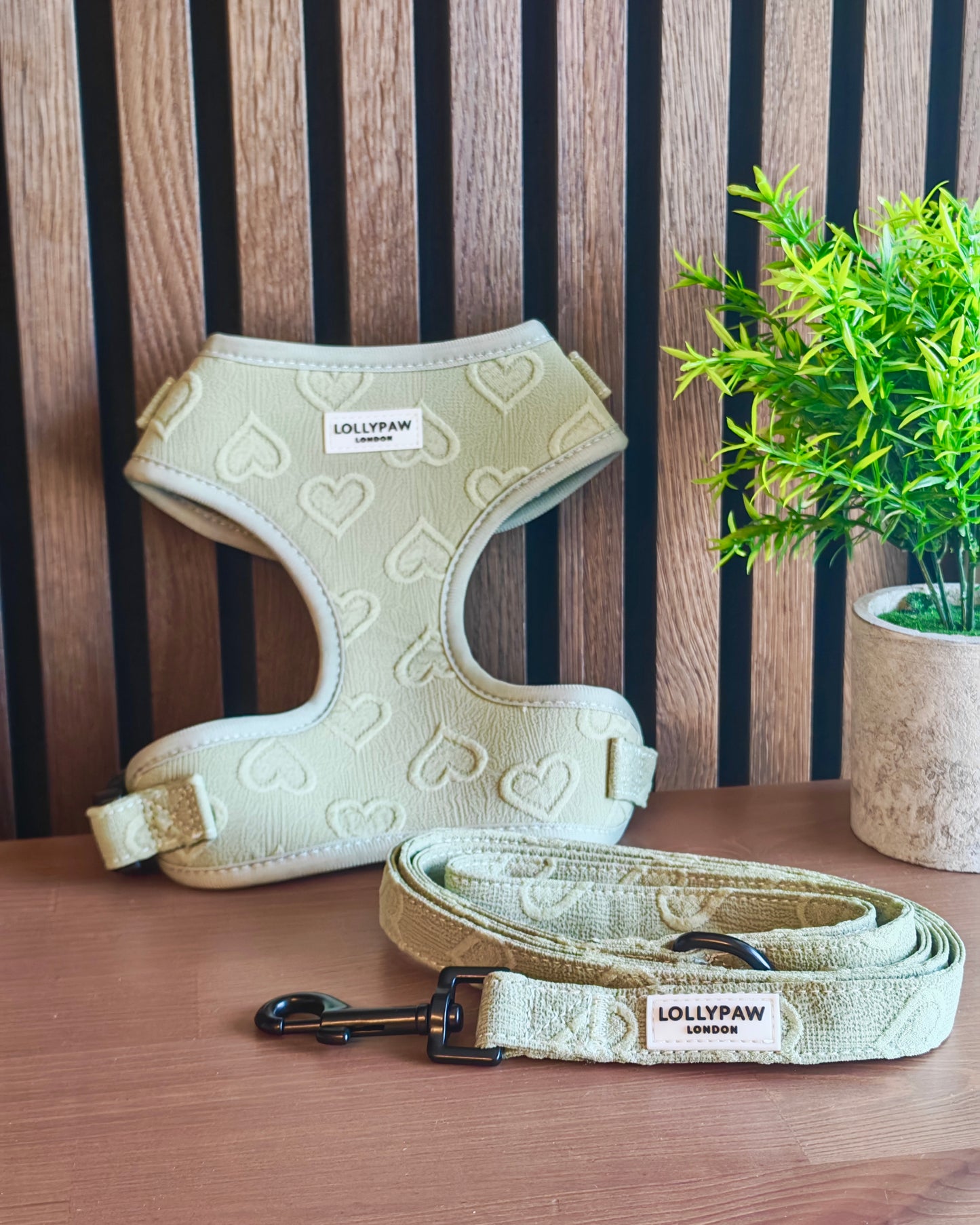 Dog Puppy Harness with Heart Pattern Soft & Allergy-Safe Optional Matching Leash For Small Dogs