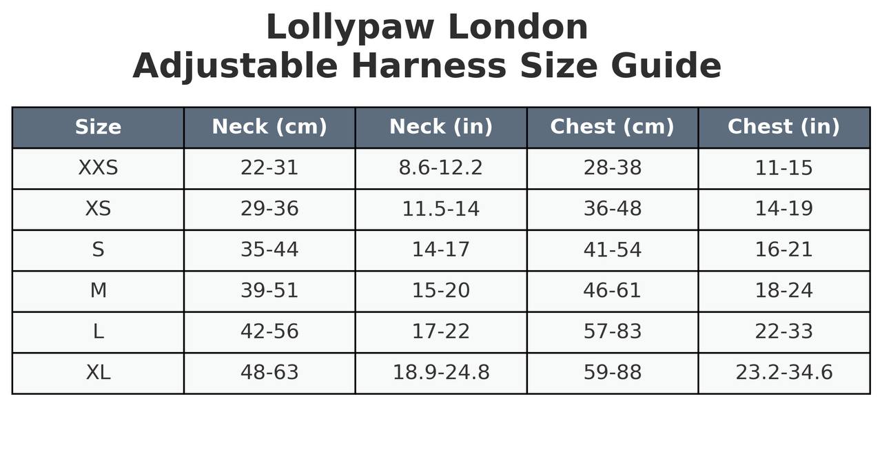 Dog Puppy Harness with Heart Pattern Soft & Allergy-Safe Optional Matching Leash For Small Dogs